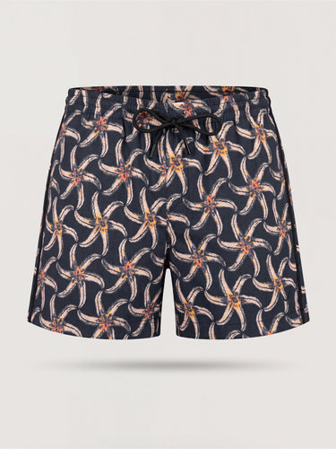 BARDIA-SEASTAR Black