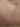 COVENT LightBrown