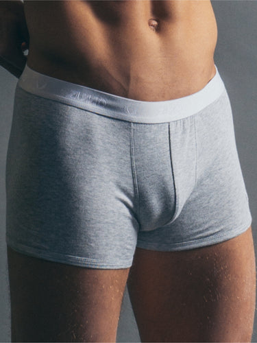 LEROY Grey - Underwear